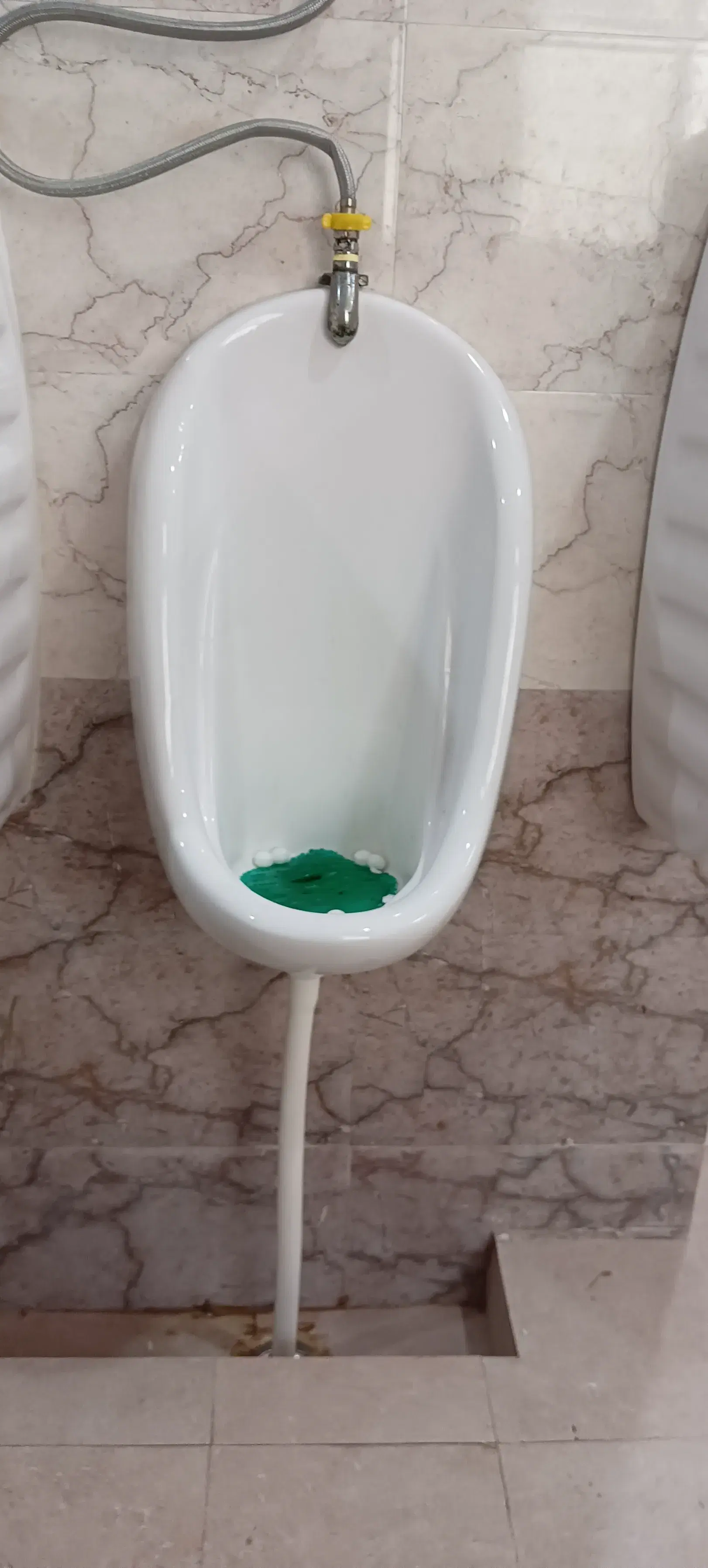 CSJMU Campus photo 6